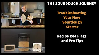 Troubleshooting Your New Sourdough Starter: Recipe RED FLAGS and Pro Tips