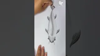 How to draw Fish🐠 #sketch #easydrawing #shading #fishdrawing #drawing #Fish #aquaticlife #love #draw