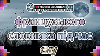 Слухання французького словника під час сну |Golearn