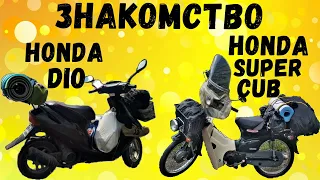 Знакомство Honda Super Cub и Honda Dio | Первая встреча двух легенд