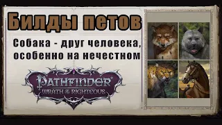 Билды петов. Танки и дамагеры - они могут все. Нечестный Pathfinder wrath of the righteous