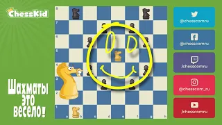 ✅ Шахматы для детей на ChessKid - Конь 😉👍 Как научиться играть в шахматы
