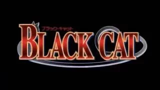 Black Cat AMV 480