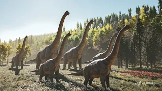 Diplodocus - 3D Animation