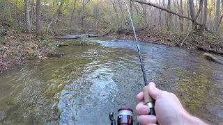 TROUT FISHING with Spinners (surprise catch!)