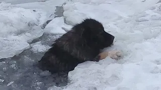 Они угодили, в СМЕРТЕЛЬНУЮ ловушку! Произошла нечто...