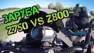 Z750 vs Z800. КАТАЛИСЬ ДО ЗАКАТА