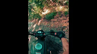 1...2...3...и в кусты🤦‍♂️ #motovlog #scrambler #dirtbike #эндуро #эндуропокатушки #biker #дваколеса