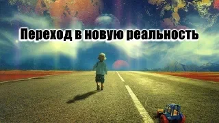 Переход в новую реальность. Наталья Грибанова