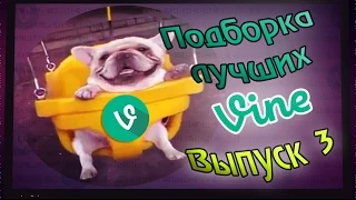 Подборка лучших Vine | Выпуск 3