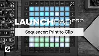 Launchpad Pro [MK3] - Sequencer: Print to Clip // Novation