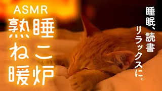 Kitten Relaxing sound  🐈 Purring and Crakling Fireplace 🔥ASMR, Cute😺