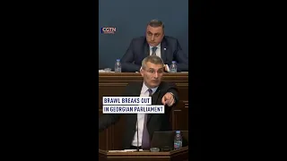Brawl breaks out in Georgian Parliament