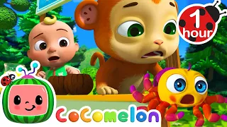 Itsy Bitsy Spider | CoComelon JJ's Animal Time | Animal Songs for Kids