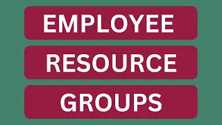 What are Employee Resource Groups?