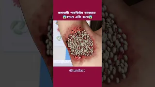 পারফিউম ব্যবহার করে এতো পোকা #3danimation