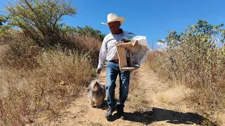 "Quisiera conseguir un trabajito pero la gente ya no nos ocupa"|Tío Manuel y Tía Juana.