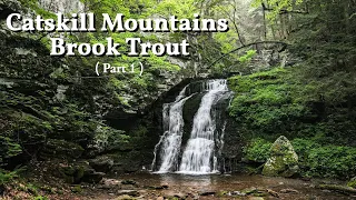 This Creek is a BROOK TROUT FACTORY !! (Fly Fishing Catskill Mtn Brook Trout  p1)