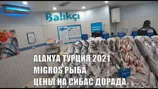 🇹🇷 ALANYA Цены на рыбу в Migros Сибас и Дорада или Чупра и леврек Алания 2021