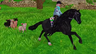 Horse Equestrian Festival Is Here ( Star Stable )