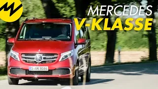 VIP-Shuttel bis Büro | 6 Checks, die zeigen, wie vielseitig die Mercedes V-Klasse ist | Motorvision