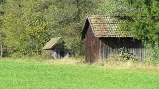 22 Vjecarja:  Ja si me q in fort 65 Vjecari Plak