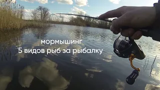 мормышинг на 2 водоемах