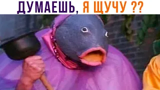 ДУМАЕШЬ, Я ЩУЧУ??))) Приколы | Мемозг 936