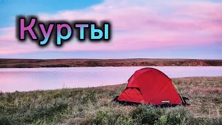 Куртинское водохранилище | Ящерица, черепахи, атайки и маки | 6-9 мая 2024