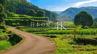 [My Summer Vacation] 12 Nostalgic Japanese Summer Scenes - JAPAN in 4K