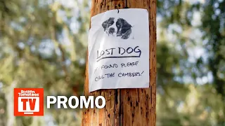 Castle Rock Season 1 Promo | 'The Dog' | Rotten Tomatoes TV
