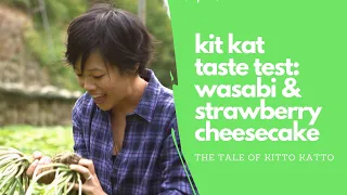 Wasabi & Strawberry Cheesecake Kit Kat | The Tale of Kitto Katto