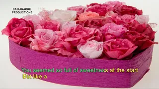 Karaoke HD "Paper Roses" (with backing vocals)