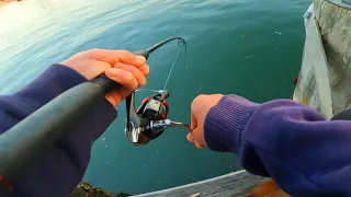Why You Should Fish In Winter!