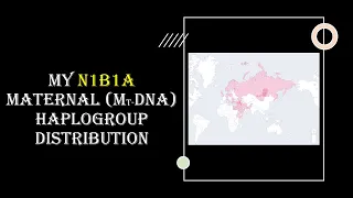 My (N1b1a) Maternal mtDNA haplogroup distribution #LivingDNA #Genealogy #MTA #aDNA #mtDNA
