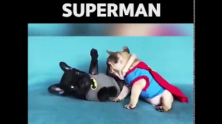 Batman vs Superman: Dawn of Justice