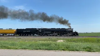 Pacing Union Pacific Big Boy #4014 Steam Train On The South Morrill Subdivision (6/8/23)