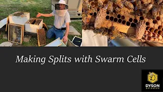 Splitting With Swarm Cells