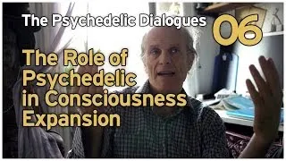 The Psychedelic Dialogues 06: The Role of Psychedelics in Consciousness Expansion