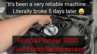 I just HAD to say how reliable it was...Honda Pioneer 1000 fuel pump replacement