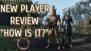 Elder Scrolls Online | New Player Review, Should you Play in 2020?