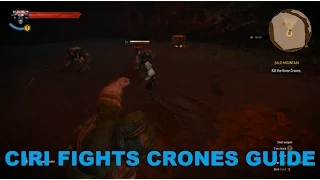 Witcher 3 - Ciri fights Crones Guide - Bald Mountain Quest