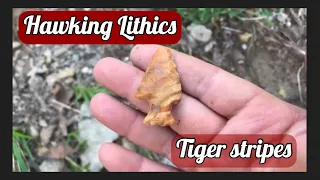 Arrowhead hunting #36 Hawking Lithics found us another honey hole!🦅