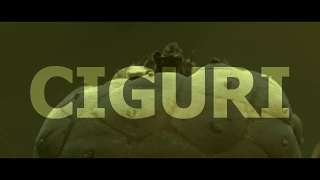 Ciguri