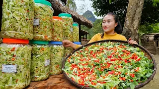 Harvest cabbage - How to make pickles - Long term preservation - Cook food for pigs | Ly Thi Tam