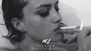 Roudeep - I Want To Forget (Long Mix)