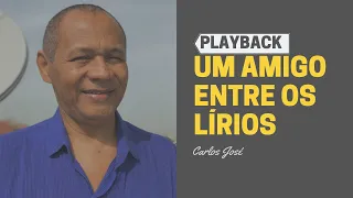 UM AMIGO ENTRE OS LÍRIOS - 344 - HARPA CRISTÃ - Carlos José (PLAYBACK)