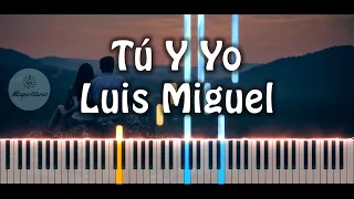 Luis Miguel - Tú y yo Piano Cover