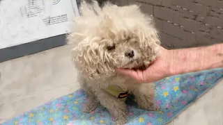 Sitting in front of the painting shop, she was exhausted from hunger and looked around for help