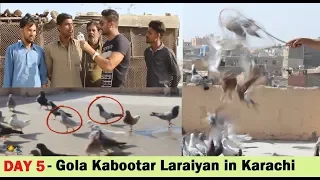 Ustad Muhammad Deen K 200 Gola Pigeons Fight in Ramswami Karachi - Part 3